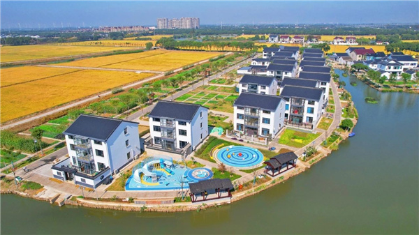 費家浜：特色田園鄉村建設讓無垠星空映照廣闊鄉村