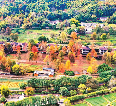 內(nèi)外并舉 守護(hù)綠水青山