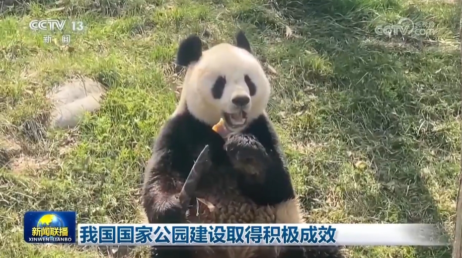 我國國家公園建設(shè)取得積極成效