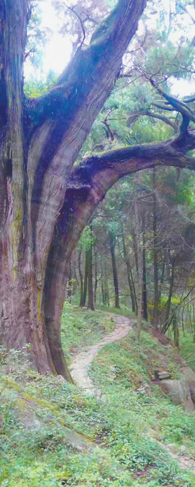 古蜀道保護(hù)傳承的啟示