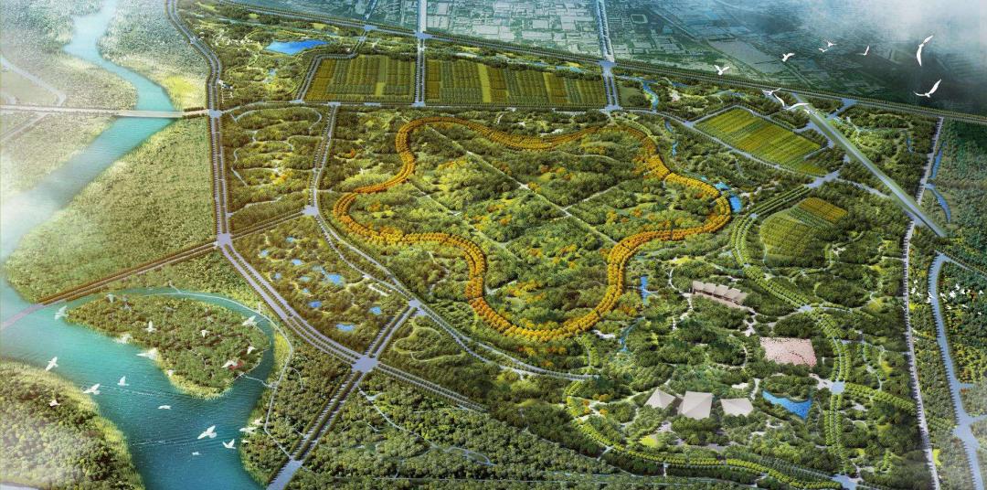 北京城市副中心:一張規劃圖 照亮蝶變路