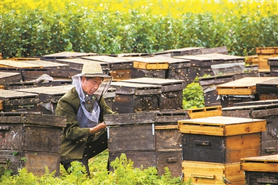 我國林草產業健康發展