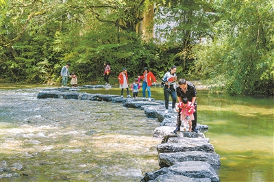 我國林草產業健康發展