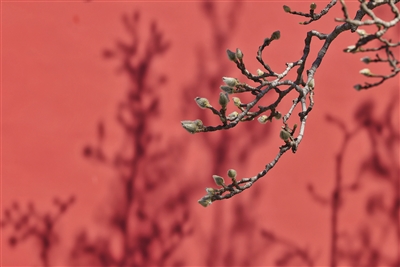 北京市多家市屬公園增設夜賞照明景觀