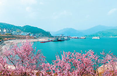 “春游經濟”熱度持續(xù)攀升