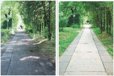 校園遺產(chǎn)保護(hù)實(shí)踐：北京大學(xué)燕南園歷史景觀