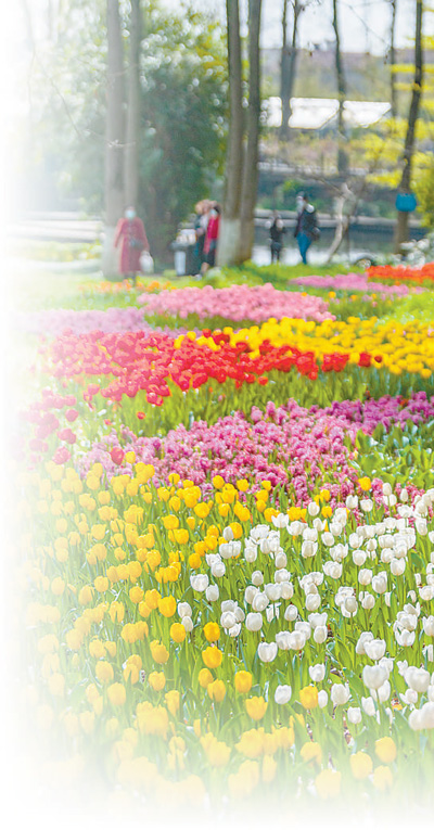 看植物園如何帶大家體驗大自然的美好