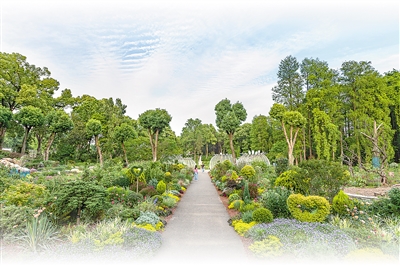 看植物園如何帶大家體驗大自然的美好