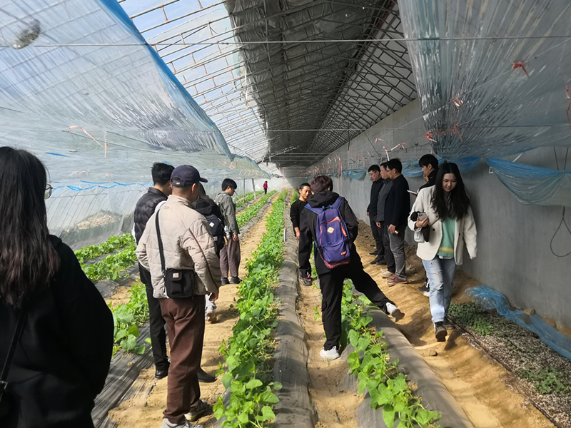 鄉村振興設計工作營團隊赴定州開展二次現場調研