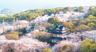二〇二四大運河主題旅游海外推廣季啟動