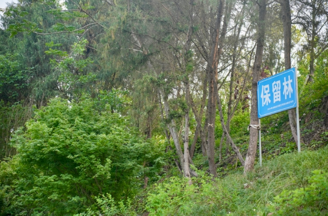 成都世園會如何低碳？記者實地探訪