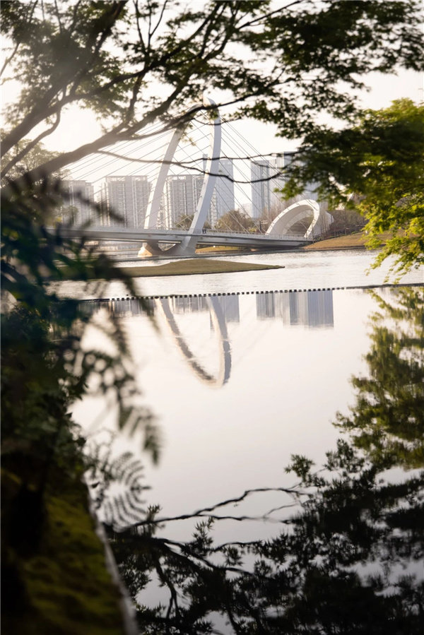 DEAL德珈設(shè)計(jì)丨麓湖W2悅溪樣板島