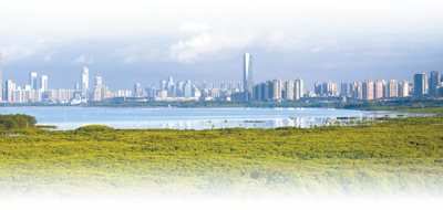 深圳:超大型城市也能留足生態空間