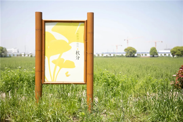 平介設計丨震澤“五美三優(yōu)”鄉(xiāng)村景觀改造