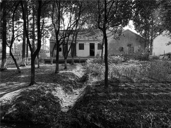 平介設計丨震澤“五美三優(yōu)”鄉(xiāng)村景觀改造