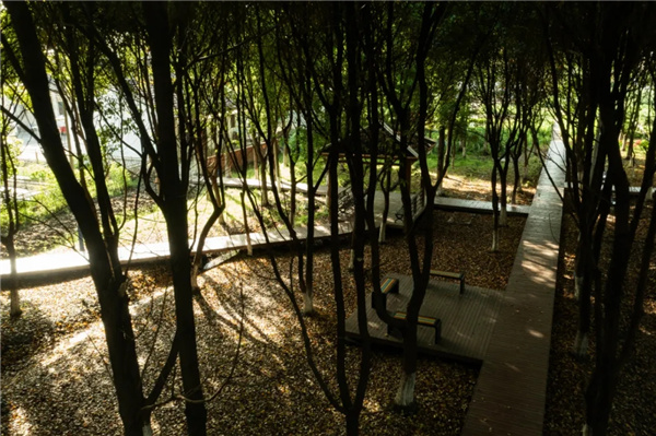 平介設計丨震澤“五美三優(yōu)”鄉(xiāng)村景觀改造