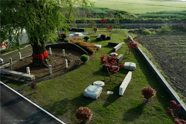 平介設計丨震澤“五美三優(yōu)”鄉(xiāng)村景觀改造