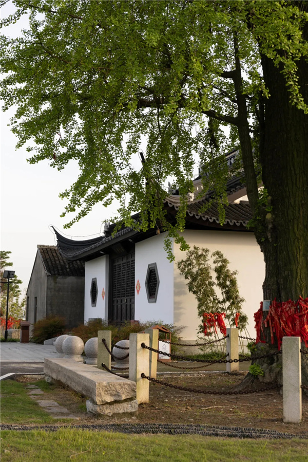 平介設計丨震澤“五美三優(yōu)”鄉(xiāng)村景觀改造