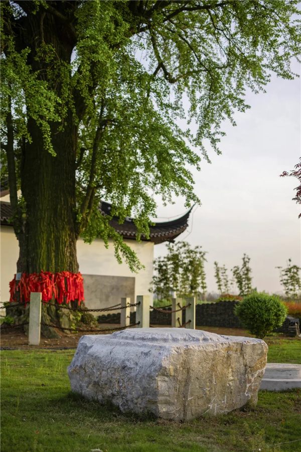 平介設計丨震澤“五美三優(yōu)”鄉(xiāng)村景觀改造