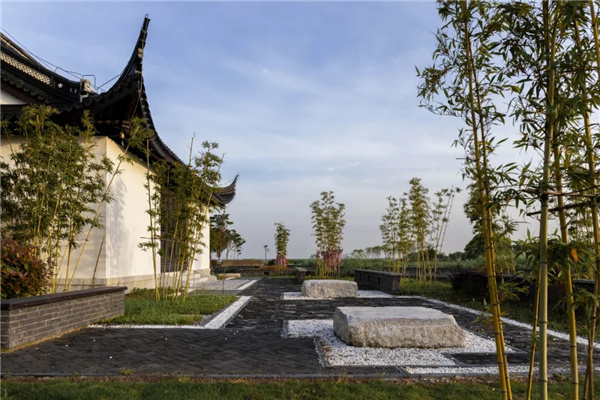 平介設計丨震澤“五美三優(yōu)”鄉(xiāng)村景觀改造