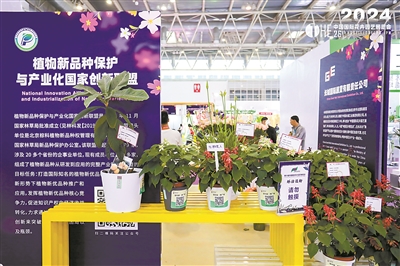 國際花卉園藝展盡顯中國范兒