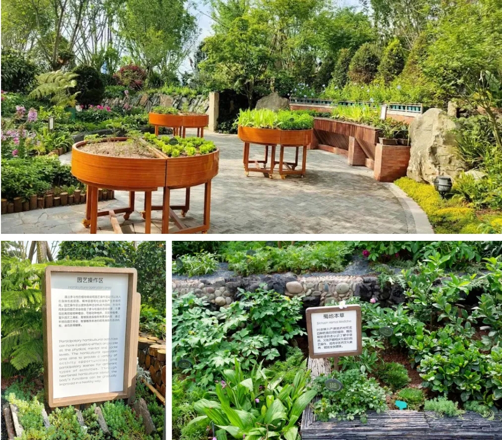 清華大學李樹華大師園——綠康園