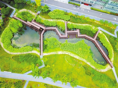 讓城市濱水空間成為“活力磁場”