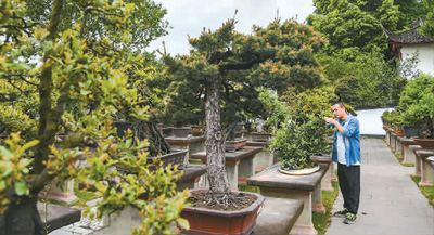 走進(jìn)成都世園會(huì)：山水園林帶動(dòng)文旅消費(fèi)