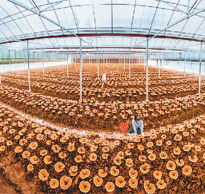 生態(tài)文明視角下的文化和自然遺產(chǎn)保護(hù)