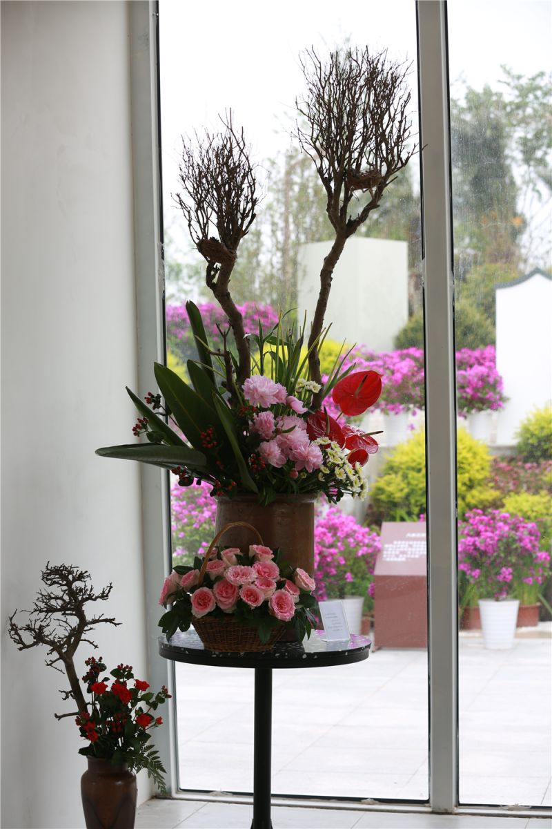 行業媒體成都世園行丨西安園