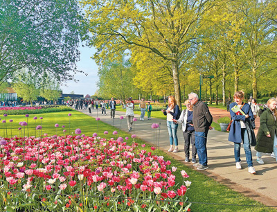 國外如何發展花卉產業 激發創新活力