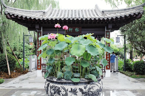 “行業媒體成都世園行”看見不一樣的世園會