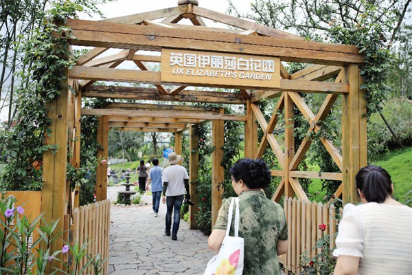 “行業媒體成都世園行”看見不一樣的世園會