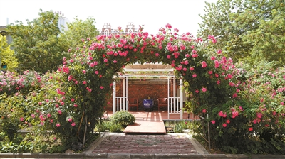 北京林業大學的“繁花”創新之路