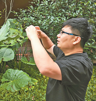 福州:1370公里綠道讓山水人城更相融