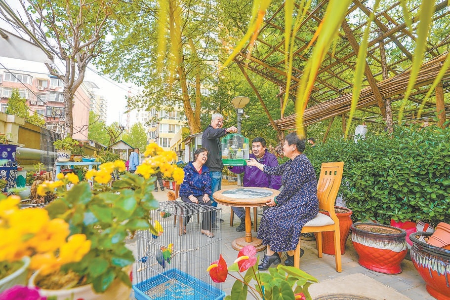 北京:“螺螄殼”里擠出610個口袋公園