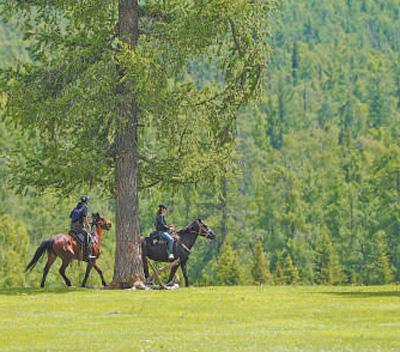 搭建文旅新場景：阿勒泰，牧歌聲里看草原