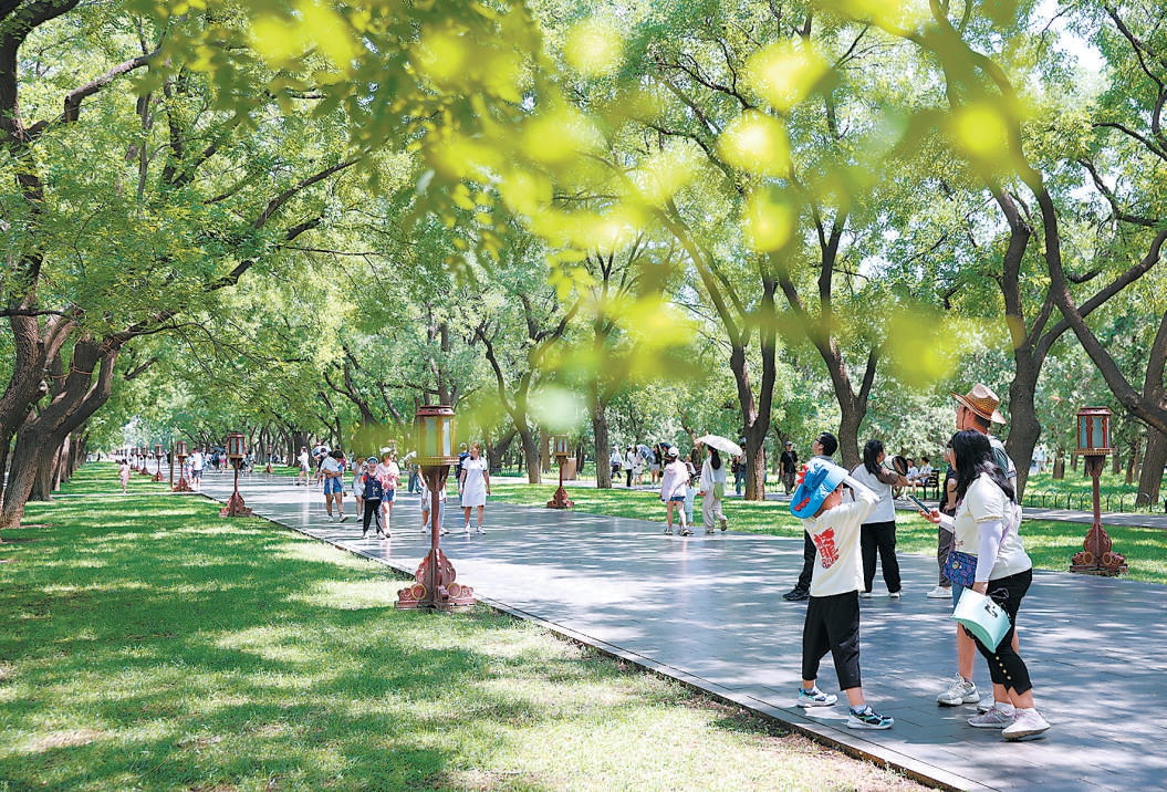 北京:天壇公園推出3條清涼路線