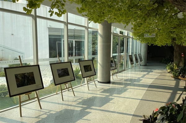 成都世園會邀八方來客中秋共赴“花”約！