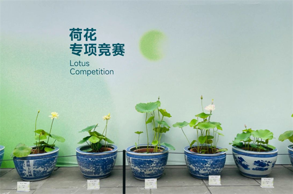 成都世園會邀八方來客中秋共赴“花”約！