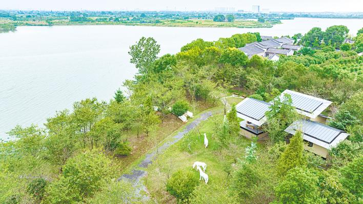 湖北太湖港：村里有美術(shù)園 村民成園藝師