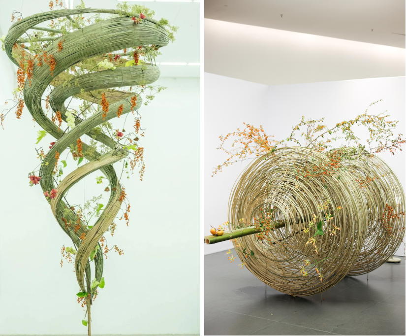 在成都世園會(huì)赴一場花與藝術(shù)的多元“對話”