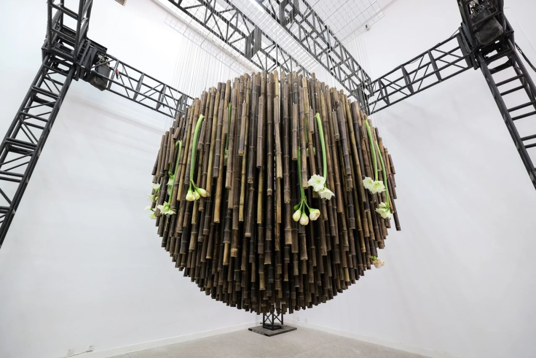 在成都世園會(huì)赴一場花與藝術(shù)的多元“對話”