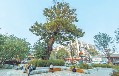 北京：參與式設(shè)計(jì)讓“小而美”串成線