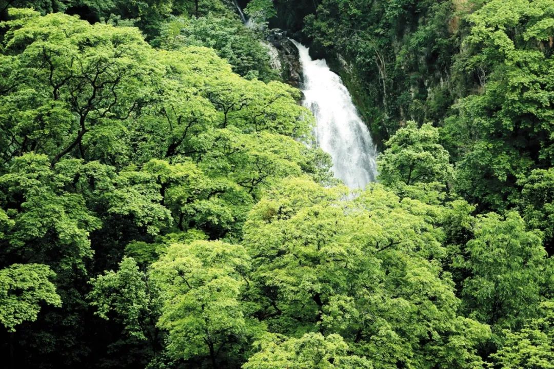 云南西藏聯合推進創建國家公園