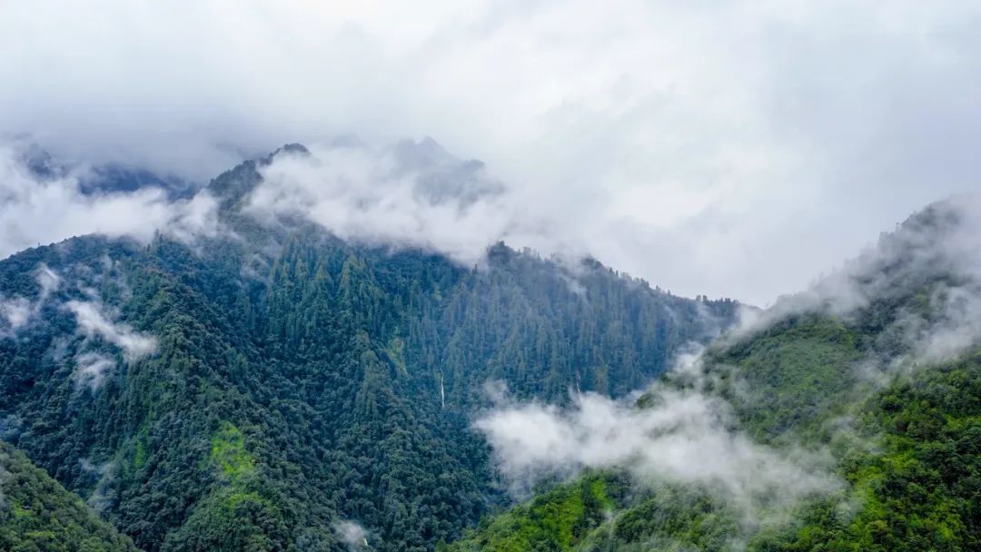 云南西藏聯合推進創建國家公園