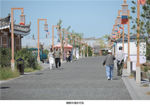 園冶杯參賽作品| 烏蘭哈達鎮三合村步行街