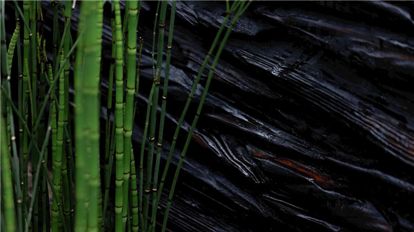 園冶杯參賽作品 | 麓湖W2悅溪樣板島