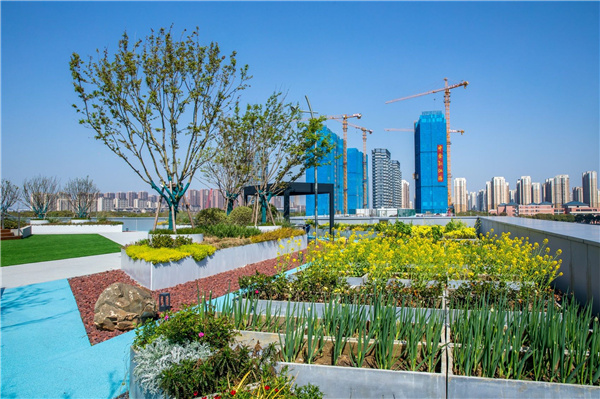 園冶杯參賽作品 | 啟迪設計大廈總部辦公樓景觀