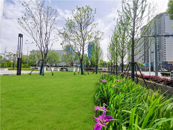 園冶杯參賽作品 | 啟迪設計大廈總部辦公樓景觀